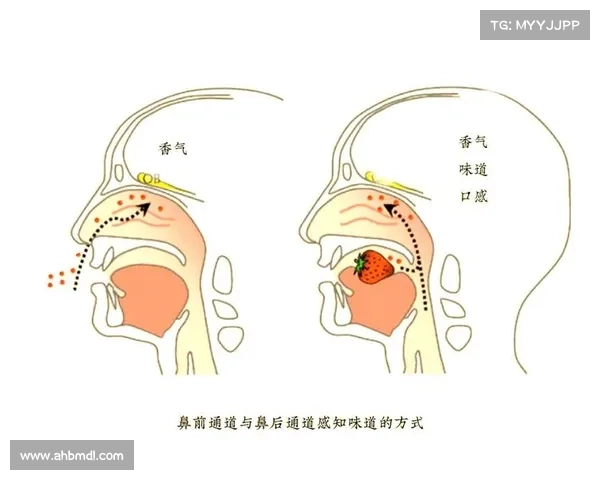失明者如何通过触觉嗅觉听觉等感知潜能重塑世界认知的五大秘密 失明者如何通过触觉嗅觉听觉等感知潜能重塑世界认知的五大秘密
