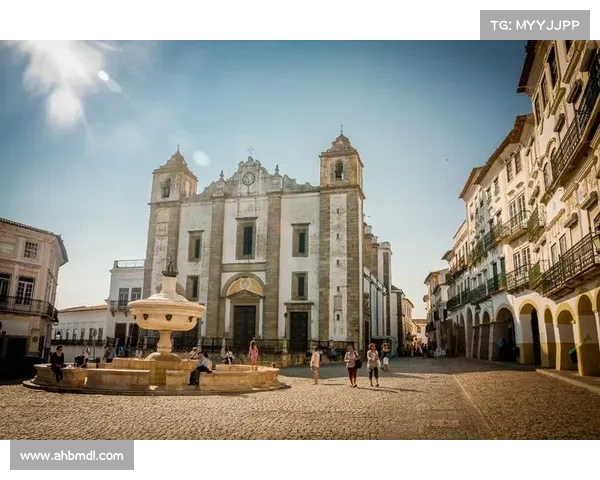 从逆境中崛起探寻葡萄牙战斗精神的真正内涵与启示 从逆境中崛起探寻葡萄牙战斗精神的真正内涵与启示
