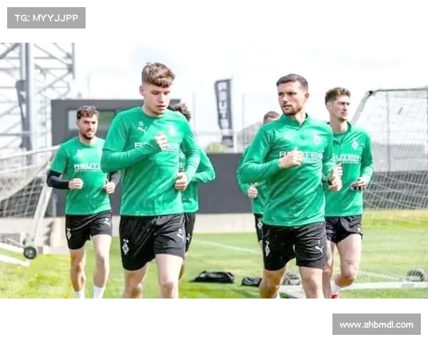 拜仁统治下的德甲：其他球队如何突破困境把握崛起机遇